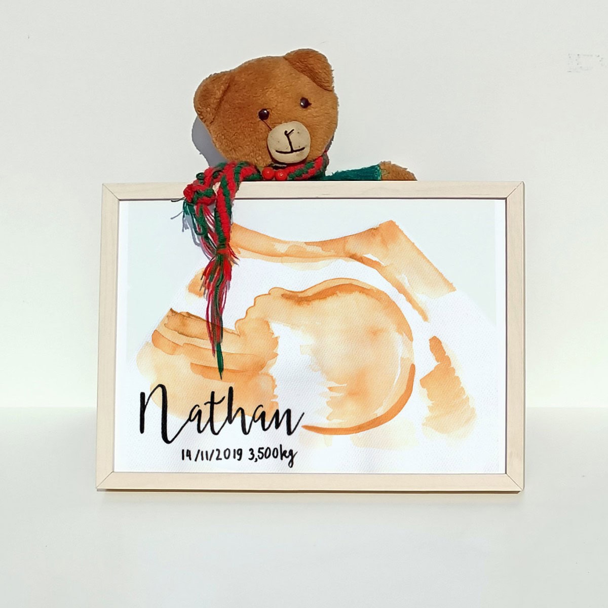 Ecografía Ilustrada - Imagen 7