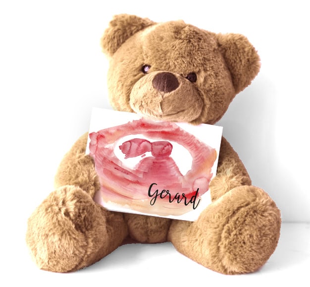 Ecografía Ilustrada