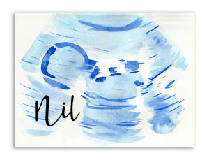 ecografía-ilustrada (15)