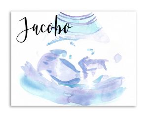 ecografía-ilustrada (3)