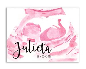 ecografía-ilustrada (4)