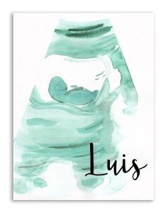 ecografía-ilustrada (5)