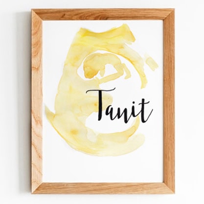 - marco-ecografía-ilustrada